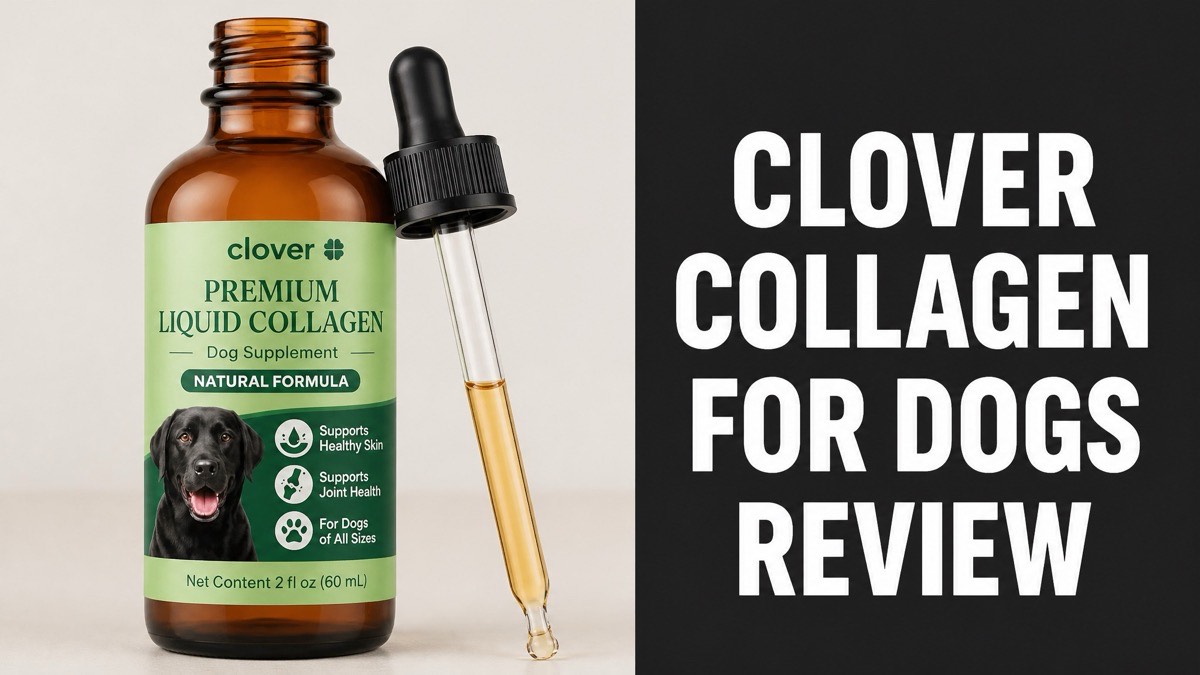 Clover Premium Liquid Collagen dog supplement bottle with dropper next to Clover Collagen for Dogs Review headline text